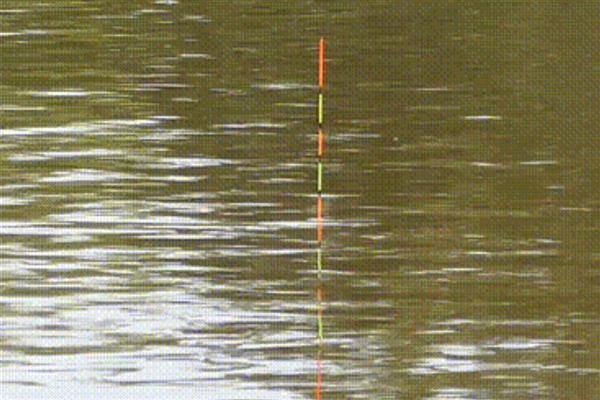 顿口漂相的简介，是指鱼吃饵时浮漂会有力下顿