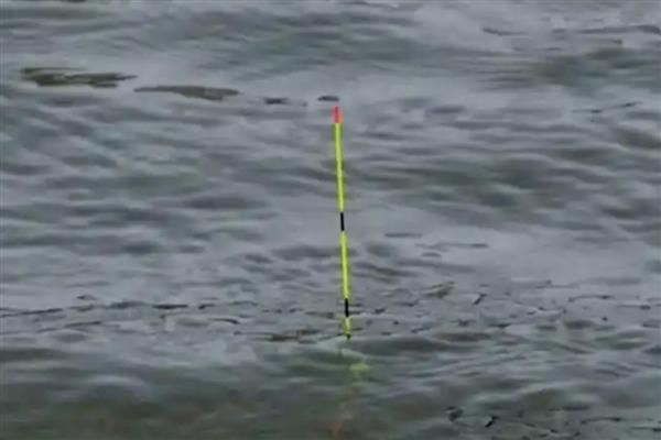 顿口漂相的简介，是指鱼吃饵时浮漂会有力下顿