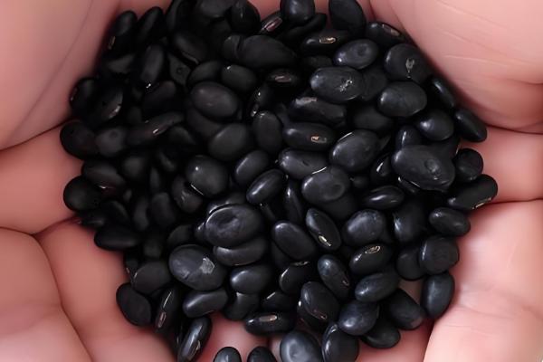 陕西省神木市的特产,有神木黑豆、神木绿豆粉皮等