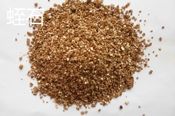 多肉植物如何浇水,春秋两季每隔2-4浇一次水