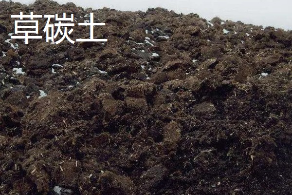 多肉植物如何浇水,春秋两季每隔2-4浇一次水