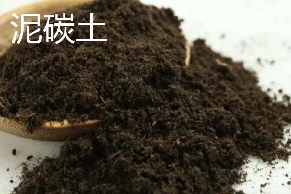 多肉植物如何浇水,春秋两季每隔2-4浇一次水