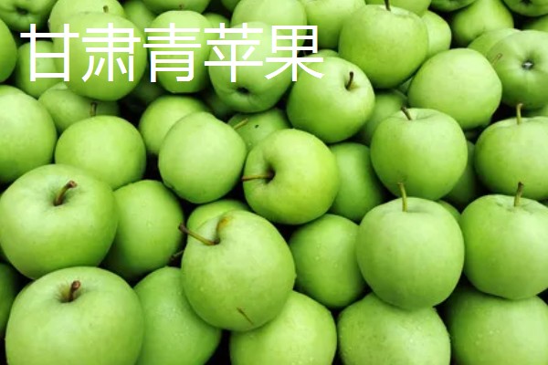 甘肃有什么好吃的苹果，花牛苹果、庆阳苹果等品种口感好