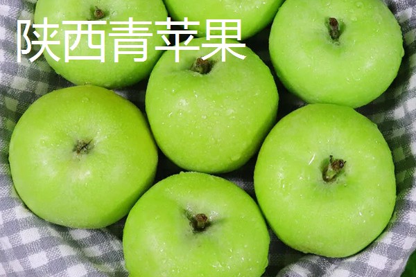 甘肃有什么好吃的苹果，花牛苹果、庆阳苹果等品种口感好
