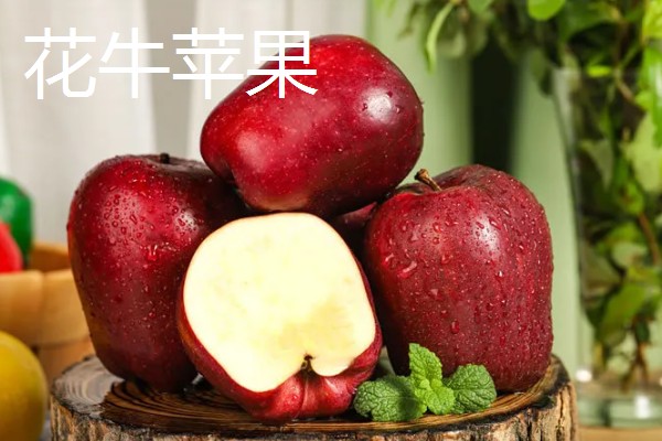 甘肃有什么好吃的苹果，花牛苹果、庆阳苹果等品种口感好