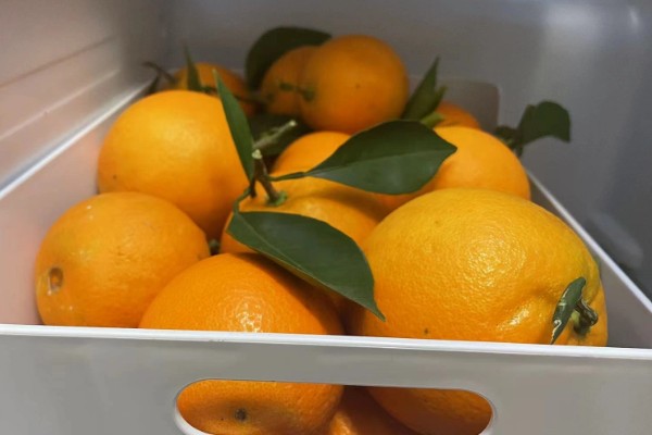 橙子的产地，麻阳、秭归的橙子都比较有名