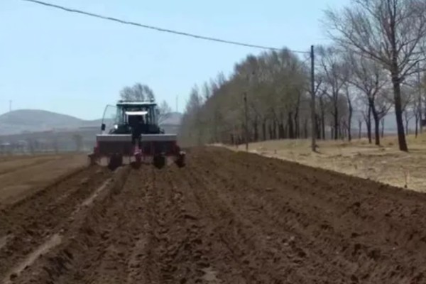 农业蔬菜的种植技术，按照适宜的密度进行播种