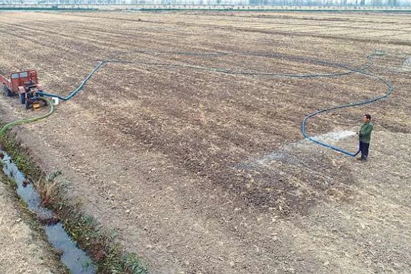 农业蔬菜的种植技术，按照适宜的密度进行播种