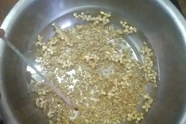 农业蔬菜的种植技术，按照适宜的密度进行播种