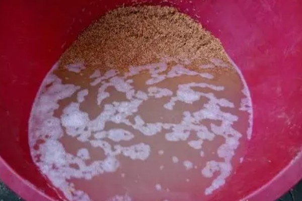 农业蔬菜的种植技术，按照适宜的密度进行播种