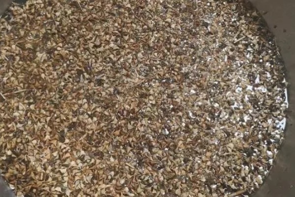 农业蔬菜的种植技术，按照适宜的密度进行播种