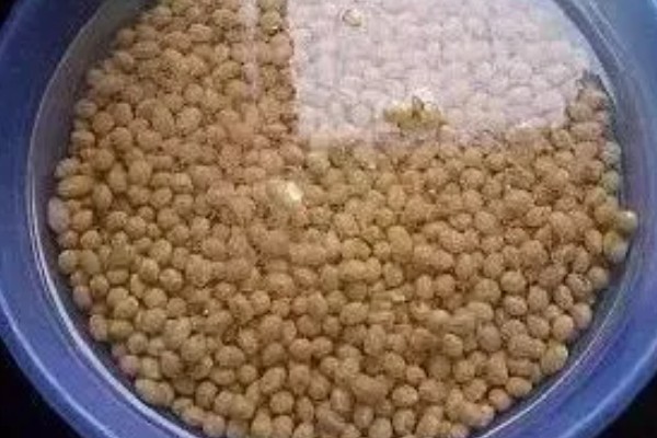 农业蔬菜的种植技术，按照适宜的密度进行播种