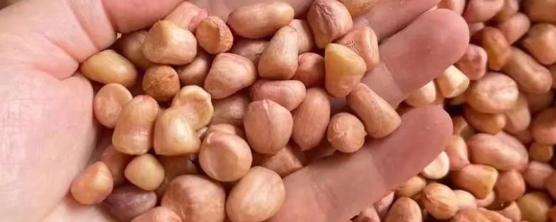 榨油用生花生还是熟花生,用生花生