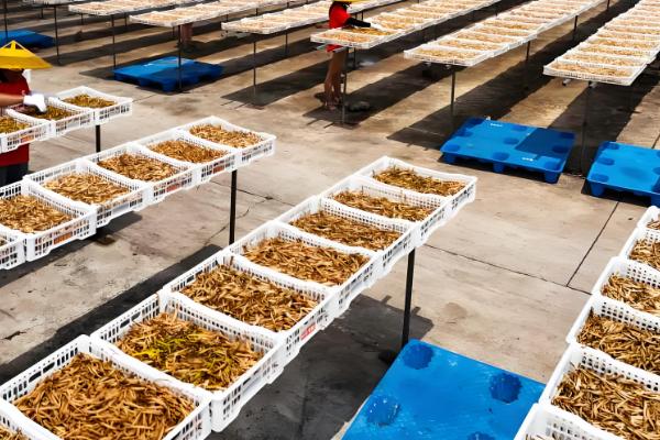 去除农药的方法,可置于清水中浸泡30分钟