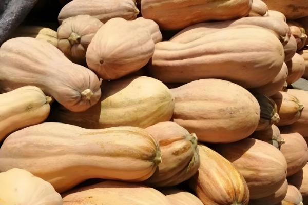 去除农药的方法,可置于清水中浸泡30分钟