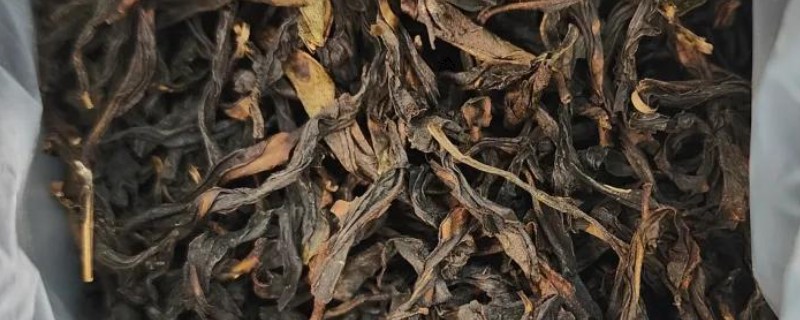 单枞茶是什么类型，属于青茶品种之一