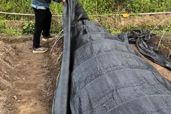 菜苗蔫了如何救活，需立刻浇水