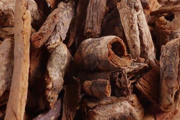 香港的市花，紫荆花是香港的区徽