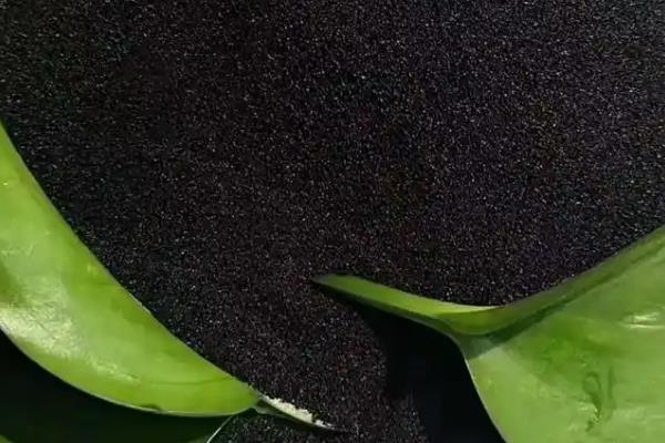 黄腐酸钾有什么作用，能起到改良土壤、增强植物抗旱抗寒能力的效果