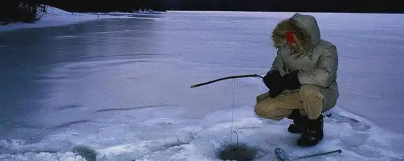 如何冰钓鲫鱼，水草区、小水面、向阳处是最佳钓点