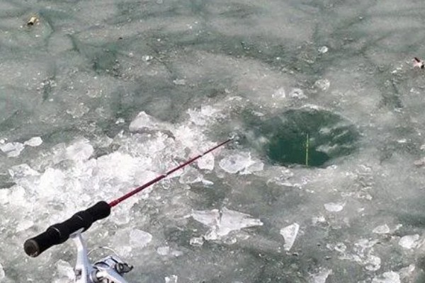 如何冰钓鲫鱼，水草区、小水面、向阳处是最佳钓点