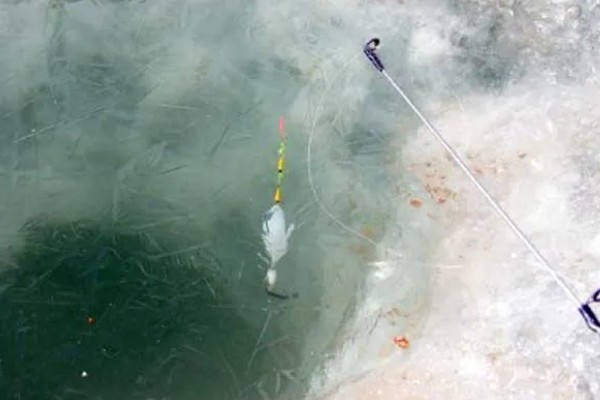 如何冰钓鲫鱼，水草区、小水面、向阳处是最佳钓点