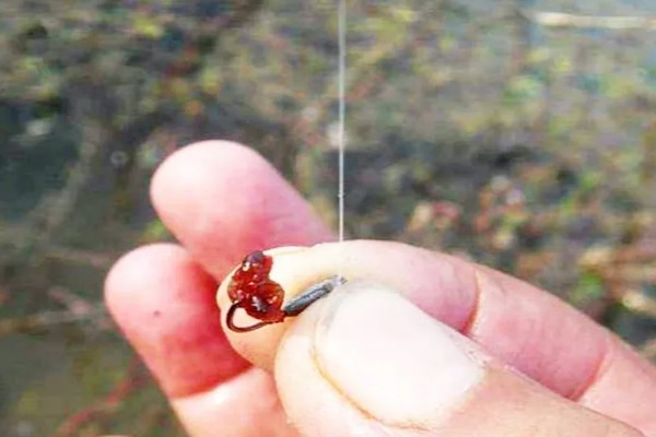 如何冰钓鲫鱼，水草区、小水面、向阳处是最佳钓点