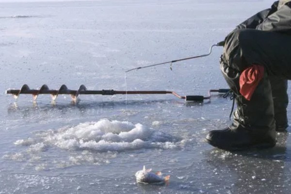 如何冰钓鲫鱼，水草区、小水面、向阳处是最佳钓点