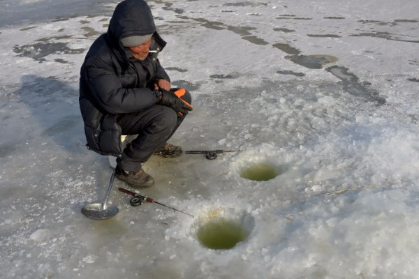 如何冰钓鲫鱼，水草区、小水面、向阳处是最佳钓点