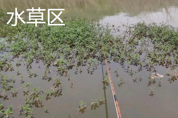 如何冰钓鲫鱼，水草区、小水面、向阳处是最佳钓点