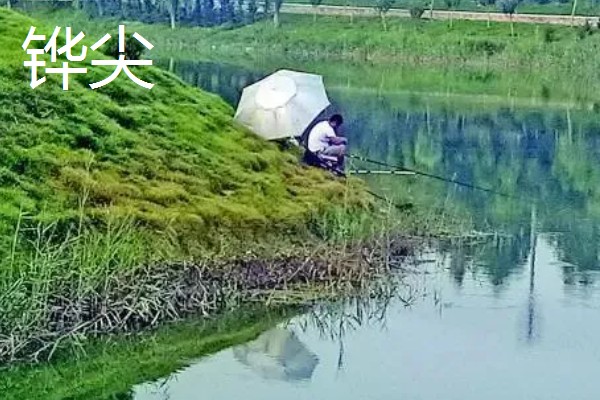 如何冰钓鲫鱼，水草区、小水面、向阳处是最佳钓点