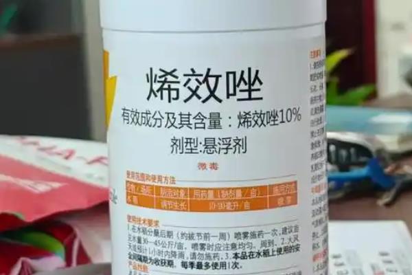 花生怎么种植，5-6月份要间苗补苗