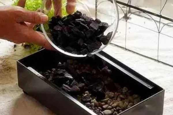 怎么用木炭养花,掺入土壤中可以留住水分