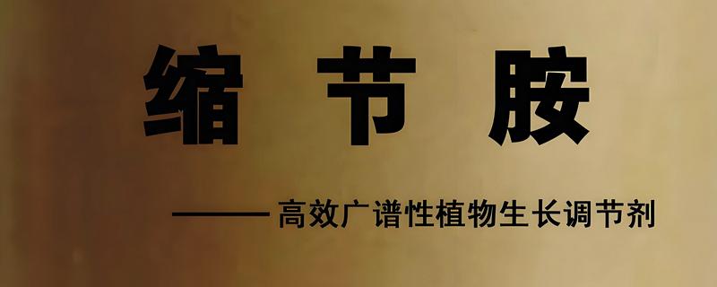 缩节胺的作用是什么，对植物营养生长有延缓作用