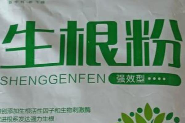 干枝杜鹃开完花后如何处理,无法继续开花可以选择丢弃