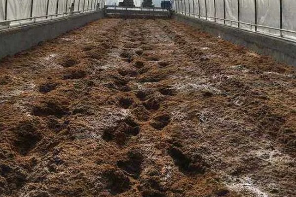 发酵床养猪有什么优点和缺点，可以减少污染改善环境但成本较高