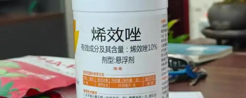烯效唑和多效唑的区别，控旺持效期不同