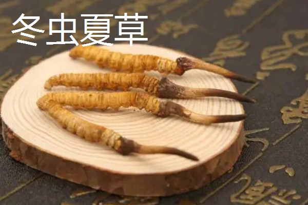 哪些经济作物适合懒人种植，推荐冬虫夏草、木姜子等