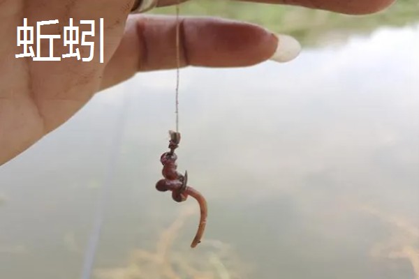 野钓适合用什么钩，根据目标鱼的特征做选择