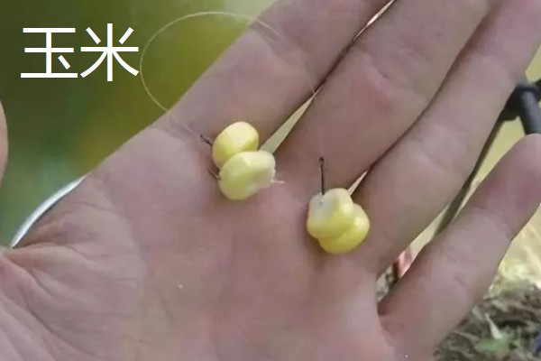 野钓适合用什么钩，根据目标鱼的特征做选择