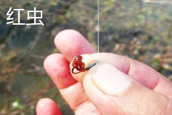 野钓适合用什么钩，根据目标鱼的特征做选择