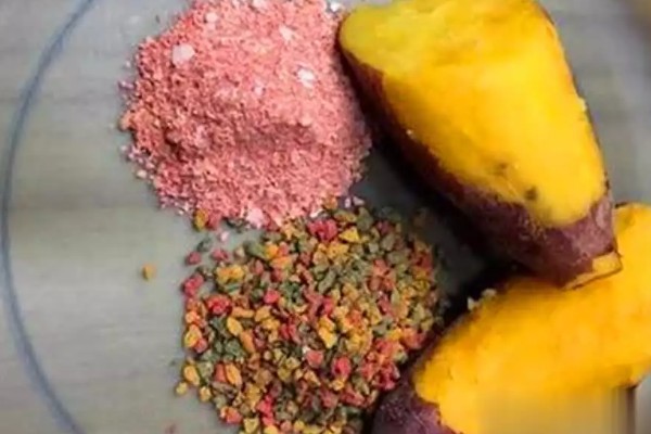 野钓适合用什么钩，根据目标鱼的特征做选择