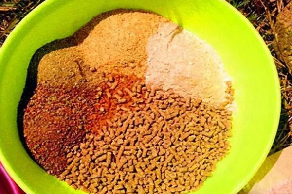 野钓适合用什么钩，根据目标鱼的特征做选择