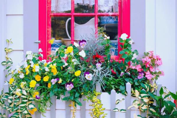 假花适合放在哪里，适合放在客厅茶几、阳台等