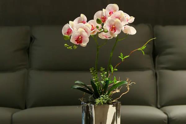 假花适合放在哪里，适合放在客厅茶几、阳台等