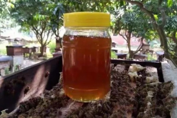 土蜂蜜上面的白色物质是什么，有以下4种可能性