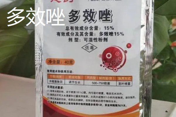 烯效唑和多效唑的区别,控旺持效期不同