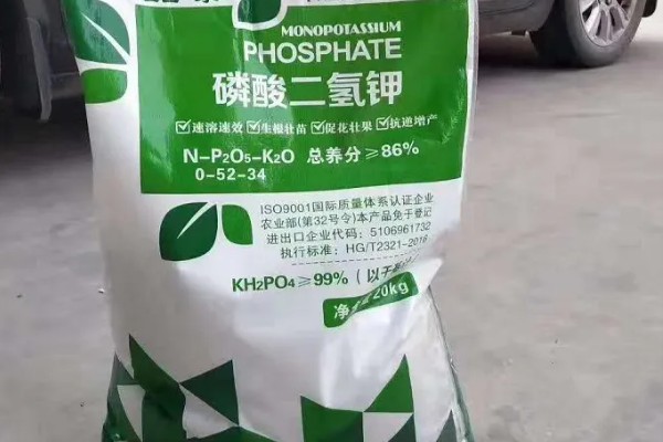 蟹爪兰秋冬季的管理方法,需要为其提供较多的水分