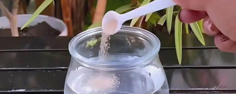 酵母粉如何正确浇花，与水的比例为1:500