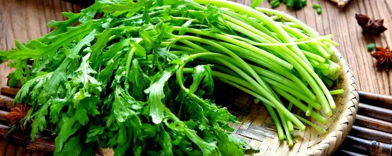 茼蒿怎么施肥，追肥以氮肥为主
